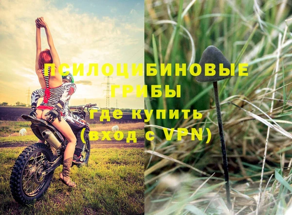 каннабис Белокуриха