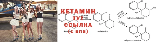 каннабис Белокуриха