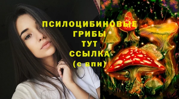 метадон Белоозёрский
