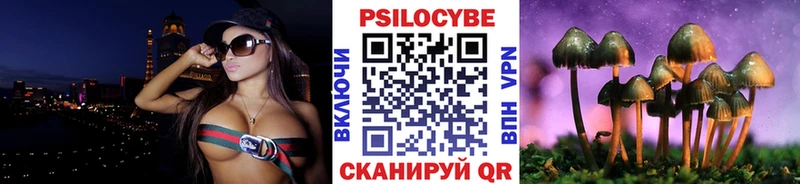 Галлюциногенные грибы Cubensis Малоярославец