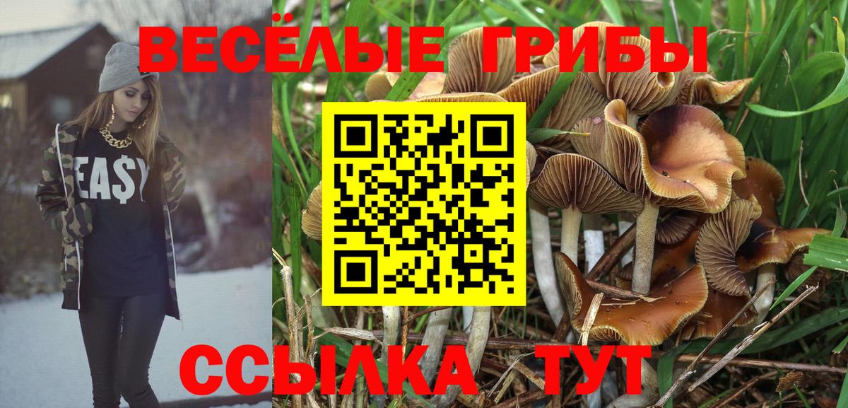 Псилоцибиновые грибы мицелий Малоярославец