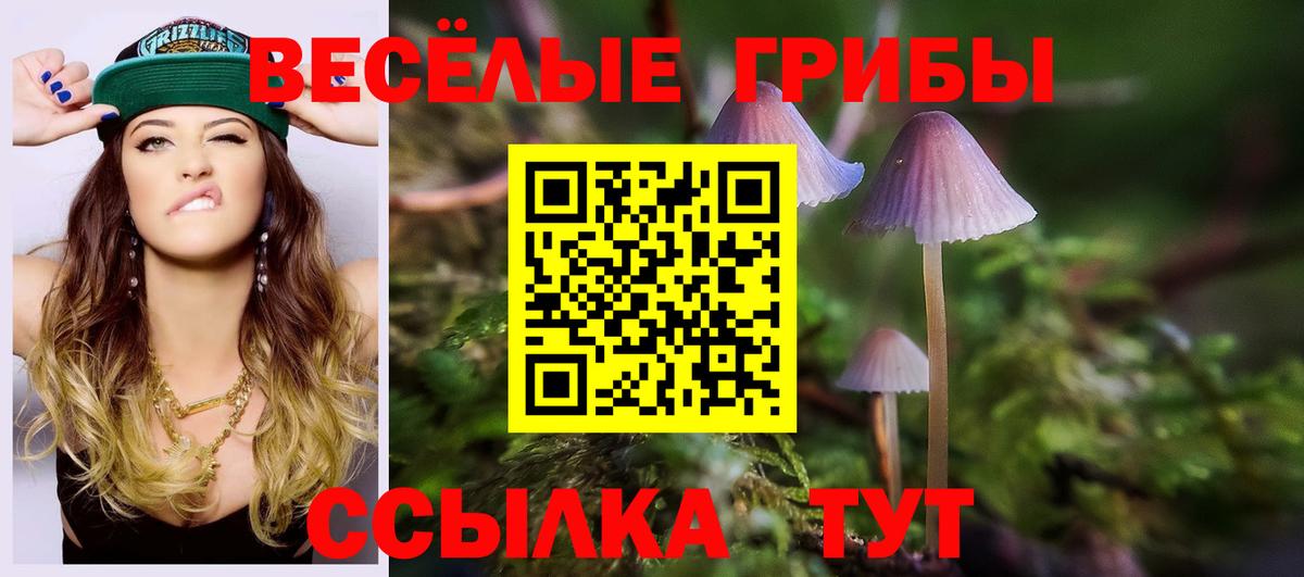 Малоярославец  Псилоцибиновые грибы Psilocybe  Вход с VPN 