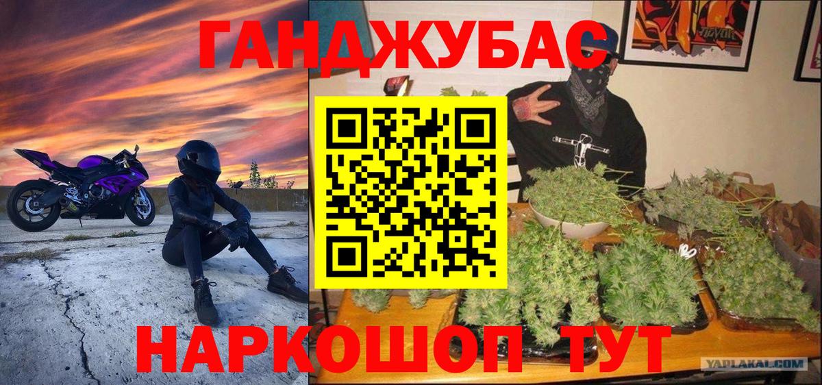 Каннабис сатива Малоярославец